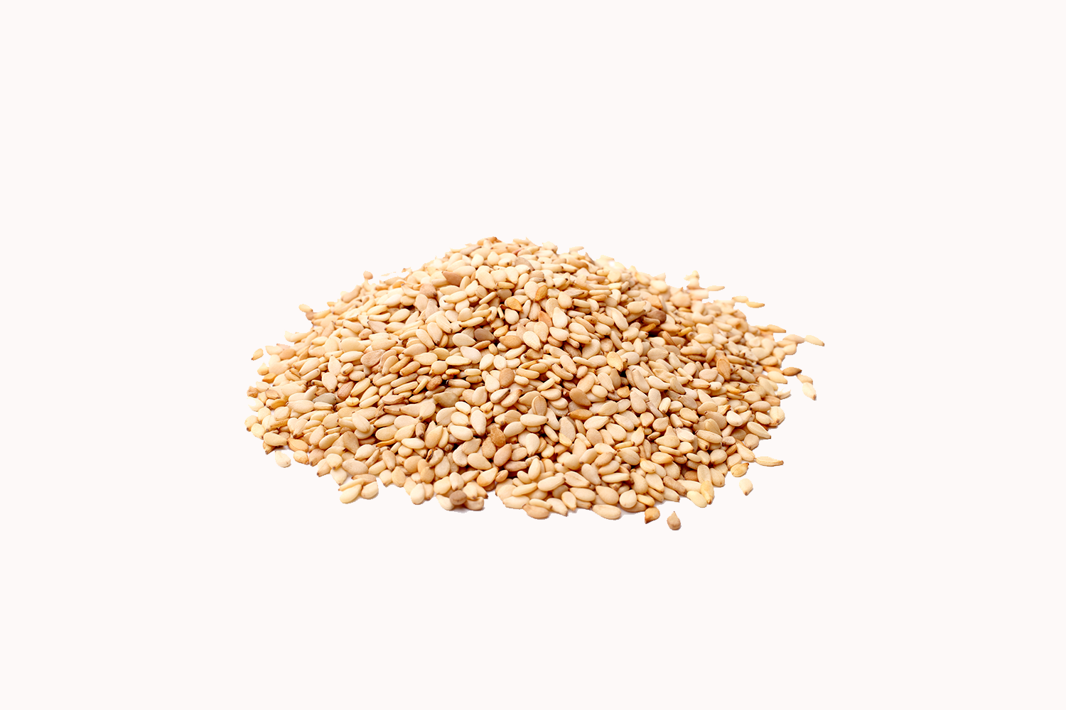 Sesame Seeds 