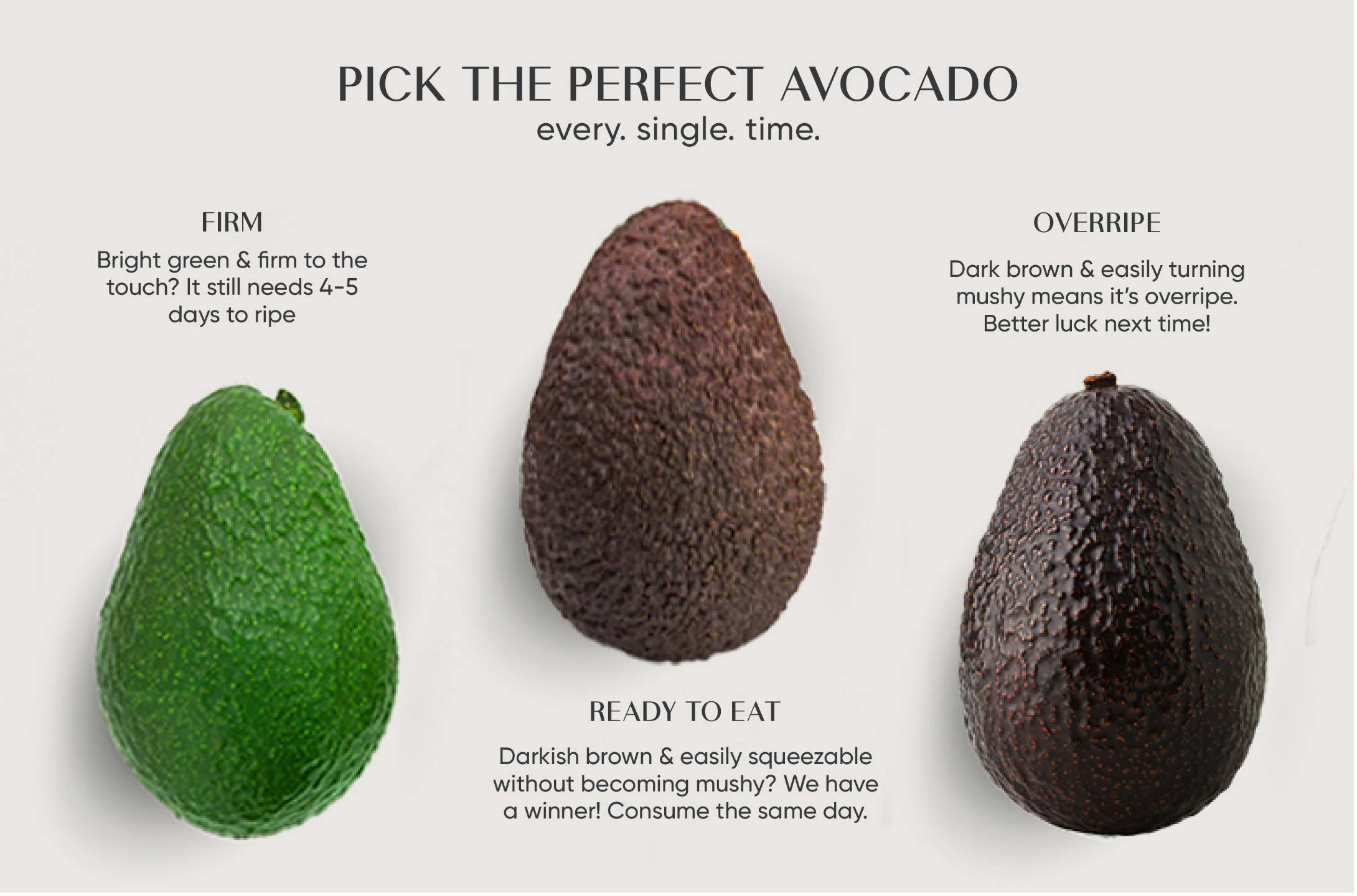 /a/v/avocado_buying_guide_1.jpg
