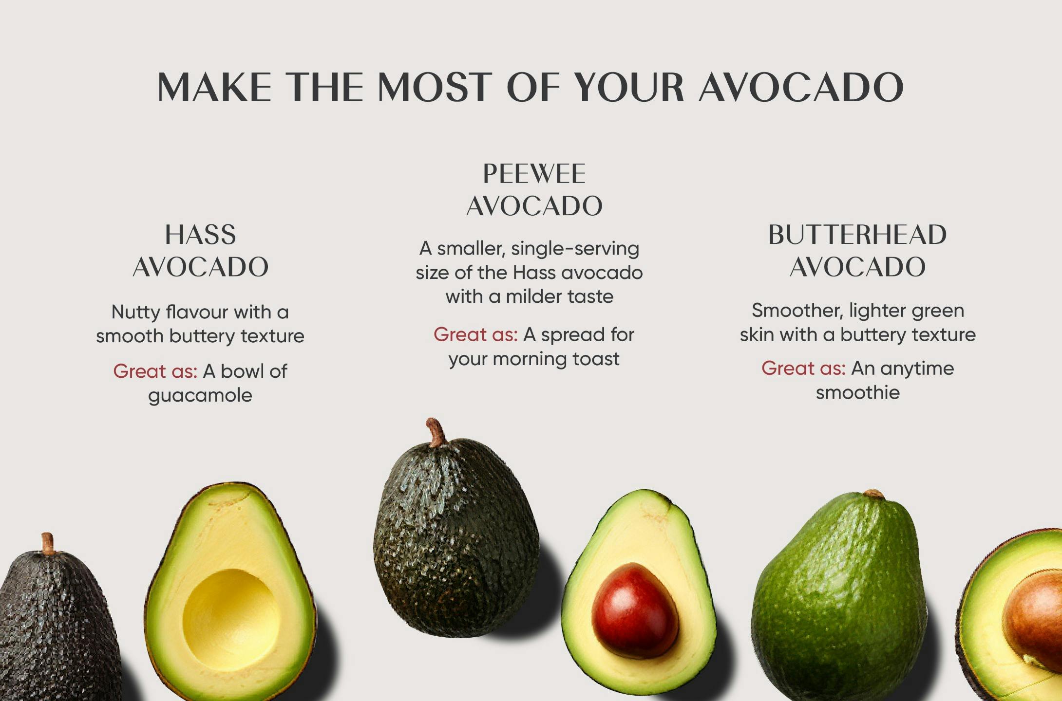 /a/v/avocado_guide_1.jpg