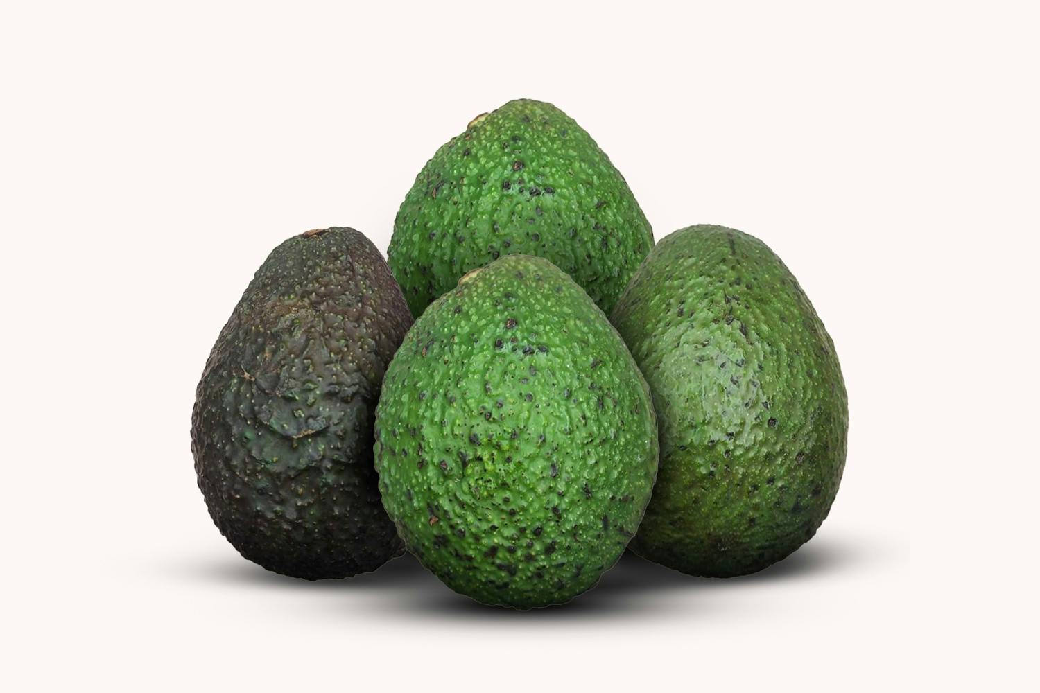 Avocado (Pack Of 4)