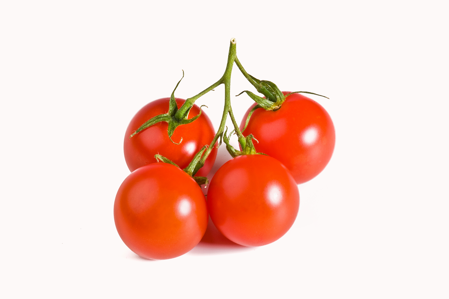 Hydroponic Grape Cherry Tomatoes