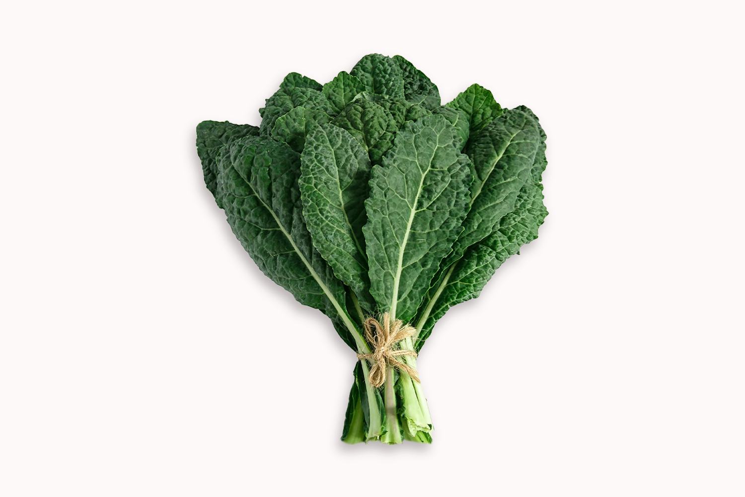 Hydroponic Tuscan Kale