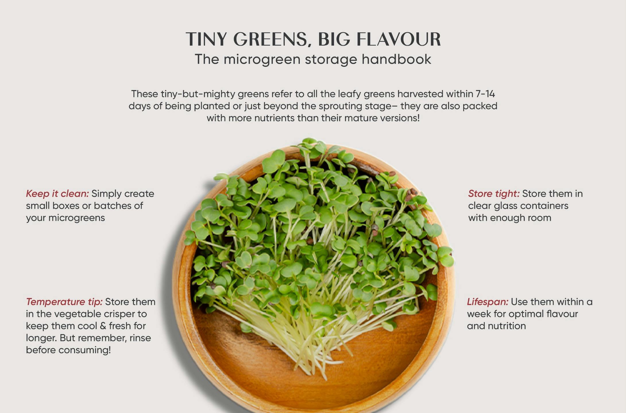 /m/i/microgreens_guide.jpg