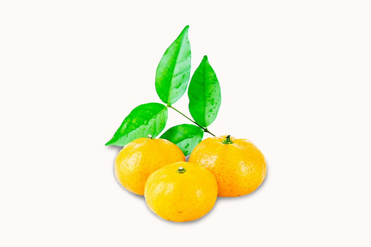 Mini Oranges