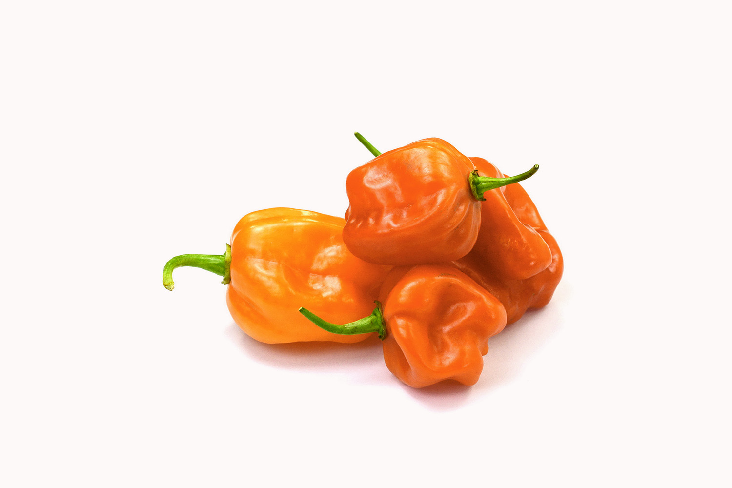 Orange Habanero Chilli From Mexico