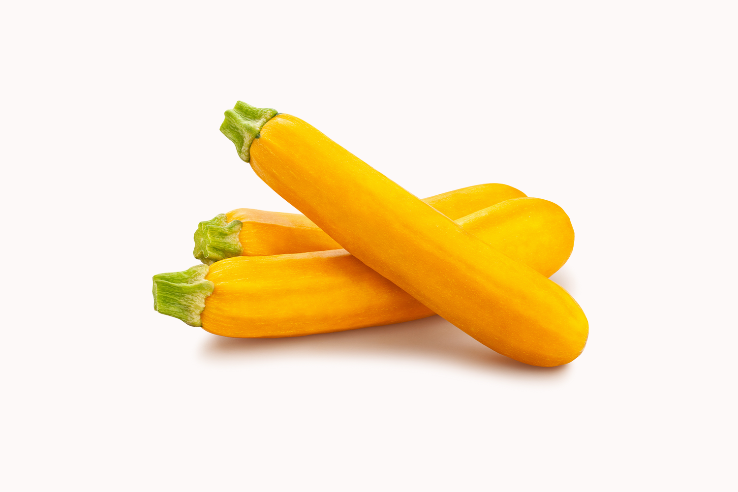 Organic Yellow Zucchini From Himachal