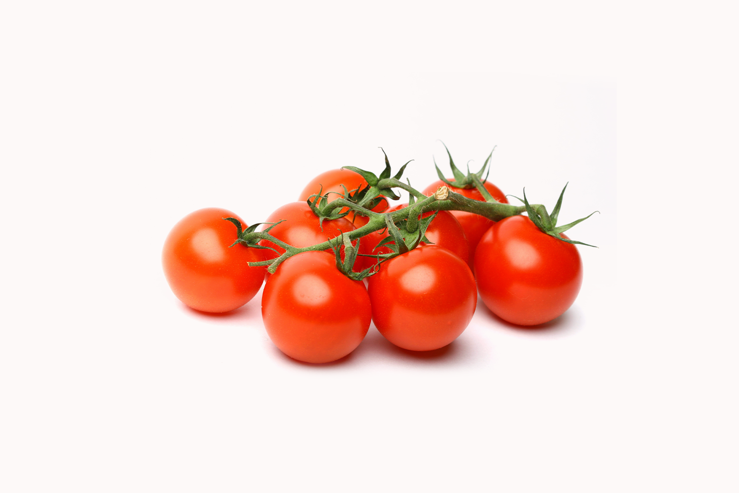 Red Cherry Tomatoes On Vine From Netherland